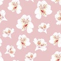 Flower seamless pattern with beautiful white alstroemeria lily flowers on pink background template Royalty Free Stock Photo