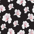 Flower seamless pattern with beautiful white and pink alstroemeria lily flowers Royalty Free Stock Photo