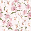 Flower seamless pattern with beautiful white and pink alstroemeria lily flowers branch Royalty Free Stock Photo