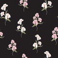 Flower seamless pattern with beautiful white and pink alstroemeria lily flowers Royalty Free Stock Photo