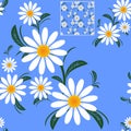 Flower seamless Pattern with Camomiles on blue. Royalty Free Stock Photo