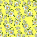 Flower seamless Pattern with Camomiles on yellow. Royalty Free Stock Photo