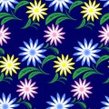 Flower seamless Pattern with colorful Flowers on blue. Royalty Free Stock Photo