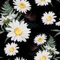 Flower seamless pattern. Field herbs daisy textile print decoration on black background.