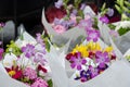 Flower season at Redmond farmer market Royalty Free Stock Photo