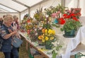 Flower section at Grantown-on-Spey show