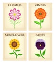 Flower Seed packets