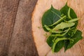 Flower and seeds of lime tree on a wooden piece of wood. Material for tasty and healthy tea