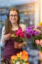 Flower seller, young woman standing at shop with flower in hands Royalty Free Stock Photo