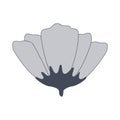 Flower with sepal isolated icon