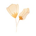 Flower with sepal isolated icon