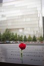 Flower, September 11th Memorial, World Trade Center, NYC Royalty Free Stock Photo