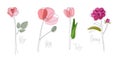 Flower set. Continuous one line drawing. Peony, rose, tulip, poppy. Abstract hand drawn flower by one line. Minimalist Royalty Free Stock Photo