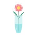 Flower set in vase . Glass vases with blue water. Cute colorful icon collection. Pink daisy gerbera flowers. Ceramic Pottery Glass Royalty Free Stock Photo