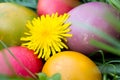 Flower shaped Easter colored eggs in the green gra