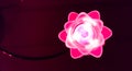 Flower shaped lamp shining pink light in the dark, beautiful modern lamp decoration