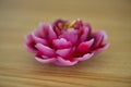 Flower shaped pink candle