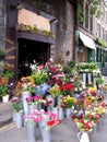 Flower shop