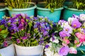 Flower Shop Petal Green Bloom Hydrangea Violet