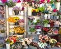 Flower shop, bouquets on shelf, florist business Royalty Free Stock Photo