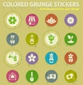 Flower shop colored grunge icons