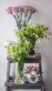 Flower shop concept. Different varieties fresh spring flowers on wooden chair table. Bouquets on shelf, florist business. Royalty Free Stock Photo