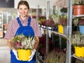 Flower shop employee takes care of indoor flowers calluna