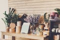 Flower shop interior, small business of floral design studio Royalty Free Stock Photo