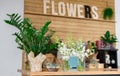 Flower shop interior, small business of floral design studio Royalty Free Stock Photo