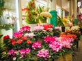 Flower shop in Japan market