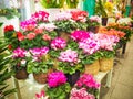 Flower shop in Japan market