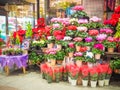 Flower shop in Japan market