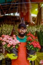 Flower shop nursery worker working, Portrait of a beautiful man standing in a plant nursery greenhouse while working, Smiling Royalty Free Stock Photo