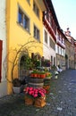 Flower shop. Royalty Free Stock Photo