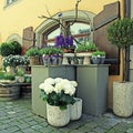 Flower shop. Royalty Free Stock Photo