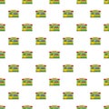 Flower shop pattern seamless vector