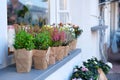 Flower Shop Showcase on a city street. Decorative spicy potted plants are for sale. Small business. Flowers delivery