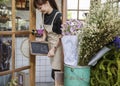 Flower Shop Store Florist Botany Bouquet Blooming