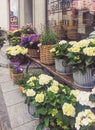 Flower shop on street of Wollerau, canton of Schwyz in Switzerland, Swiss architecture and real estate Royalty Free Stock Photo