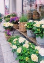 Flower shop on street of Wollerau, canton of Schwyz in Switzerland, Swiss architecture and real estate Royalty Free Stock Photo