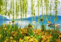 Flower shore and mountains, Montreux. Switzerland