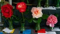 Flower show competition winners at the Motueka A and P show