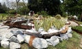 Flower and shrub planter boxes are built in public parks.