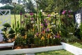 Flower and shrub planter boxes are built in public parks.