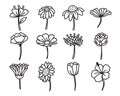 Flower Side View Hand Drawn Doodles Drawing Vector Illustration Royalty Free Stock Photo