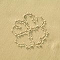 Flower sign on a sand