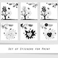 Flower silhouette decorative element