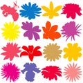 Flower silhouette set. Colored floral vector silhouettes.