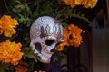 Flower and skeleton alter at Dia de los Muertos Royalty Free Stock Photo