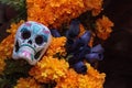 Flower and skeleton alter at Dia de los Muertos Royalty Free Stock Photo